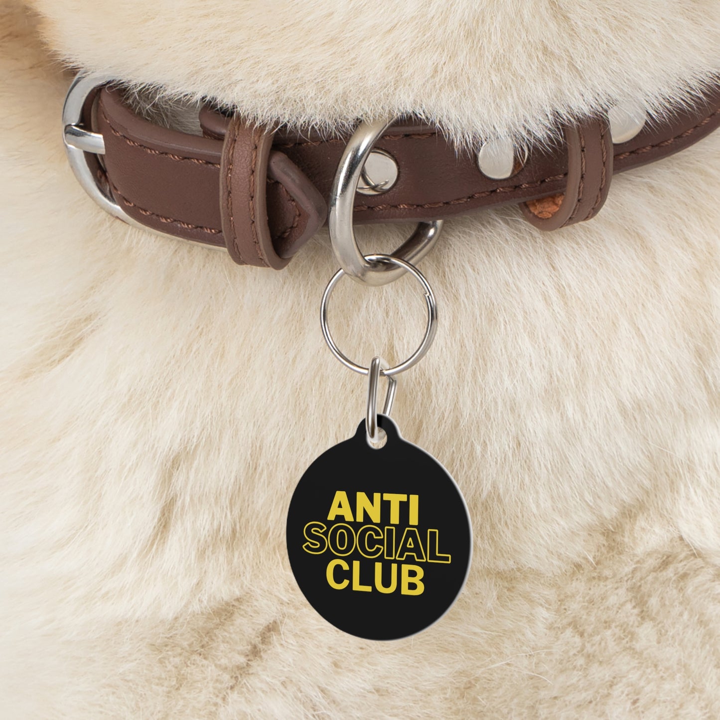 Anti Social Club Pet Tag