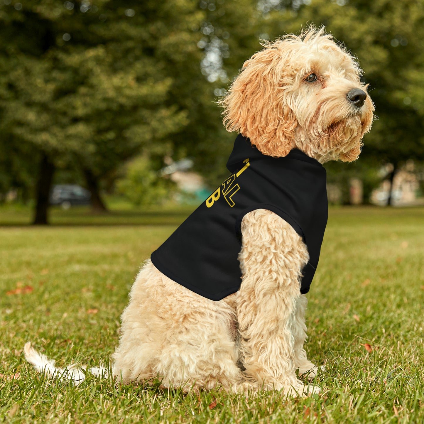 Anti Social Club Pet Hoodie