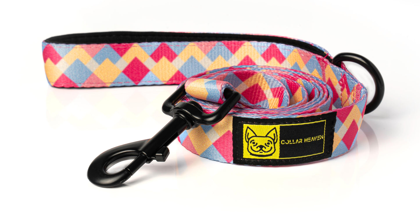 Collar & Leash Combo