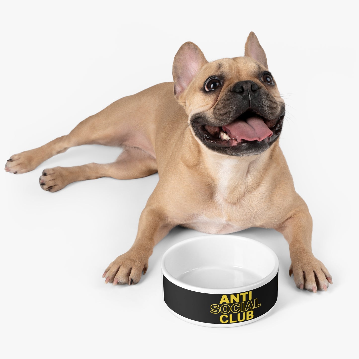 Anti Social Club Pet Bowl