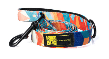 Collar & Leash Combo