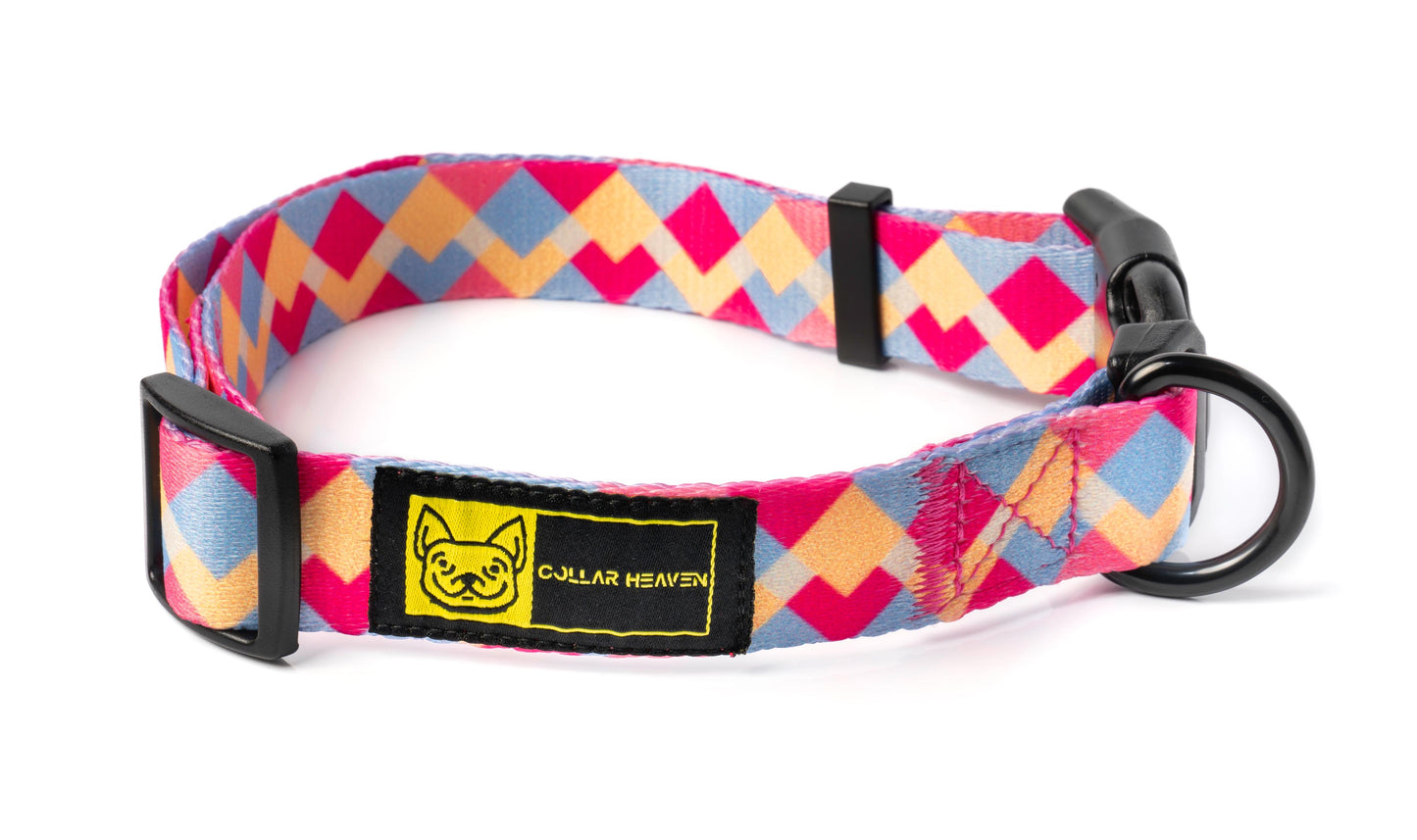 Collar & Leash Combo